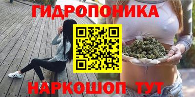 эйфоретик Гусиноозёрск