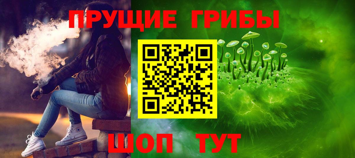 Псилоцибиновые грибы Psilocybe  Вход с VPN  Карпинск 